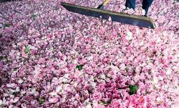 29-31 MAYIS 2026 ISPARTA GÜLLER ZAMANI TURU 1.ARAÇ