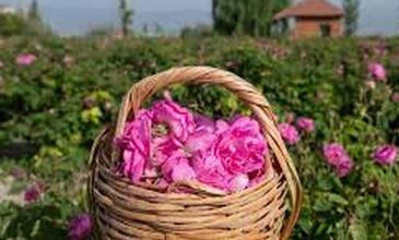 29-31 MAYIS 2026 ISPARTA GÜLLER ZAMANI TURU 1.ARAÇ