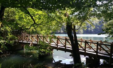 17-19 NİSAN 2026 ABANT & YEDİGÖLLER & GÖLCÜK&ORMANYA&MAŞUKİYE&BURSA TURU